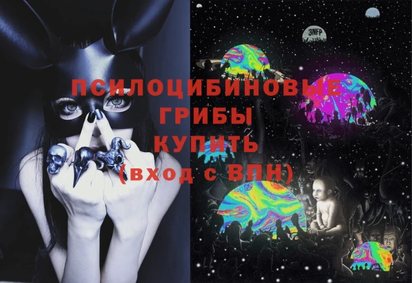 PSILOCYBIN Весьегонск