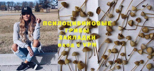 спиды Волосово